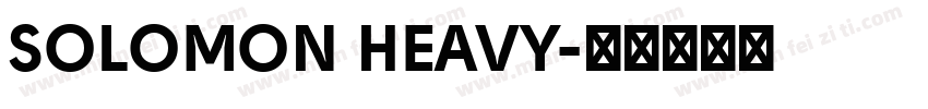 SOLOMON HEAVY字体转换
